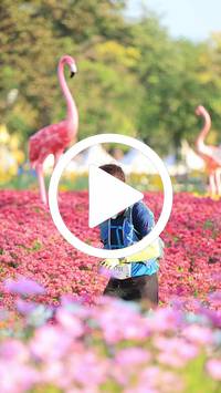 BIB:  <button type="button" onclick="openModal(27583333)" class="btn btn-primary btn-sm float-right" data-toggle="modal" data-target=".modal-high-quality">
                <i class="fa fa-download"></i> Download
                </button>